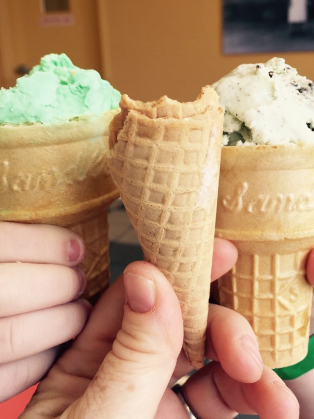 fullsizeoutput_10855